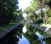 Pineta di Cervia - Il canalino