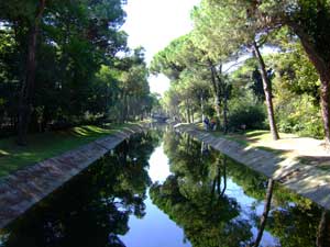 Pineta di Cervia - Il canalino